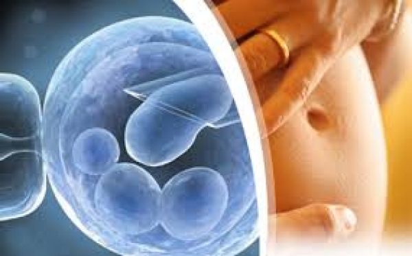 Εξωσωματική γονιμοποίηση και εμβρυομεταφορά